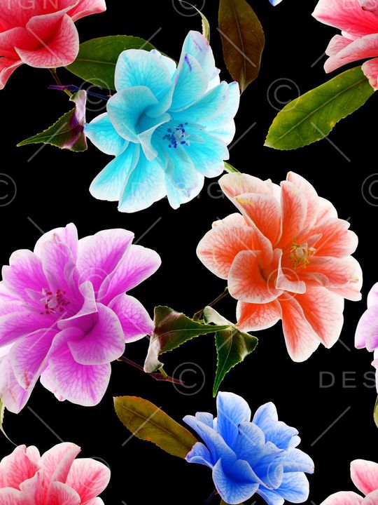 女装印花华亿平台图片