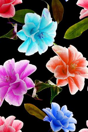 女装印花华亿平台图片