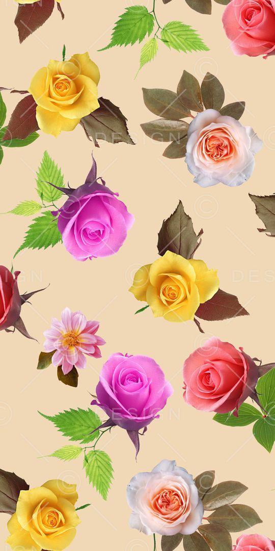 玫瑰印花华亿平台图片