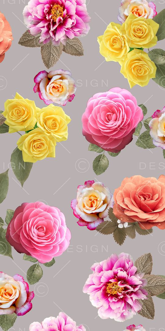 牡丹印花华亿平台图片