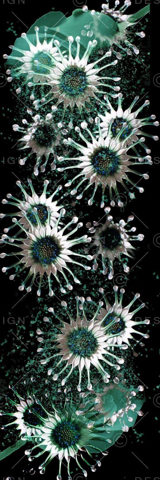 大花印花华亿平台图片