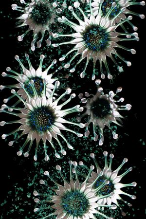 大花印花华亿平台图片