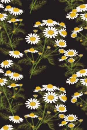 女装印花华亿平台图片