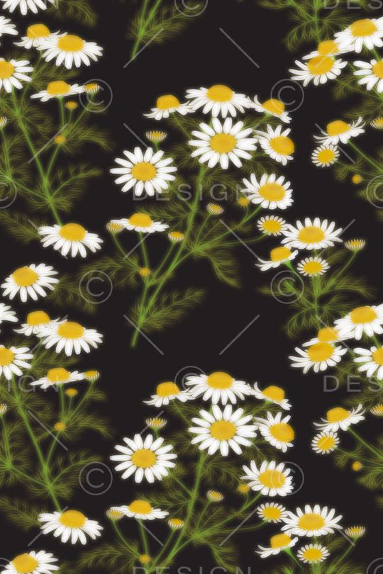 女装印花华亿平台图片