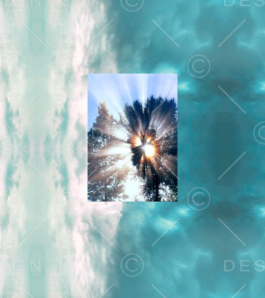 植物印花华亿平台图片