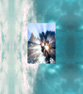 植物印花华亿平台图片