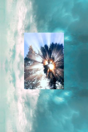 植物印花华亿平台图片