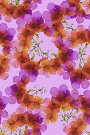 几何组合印花华亿平台图片