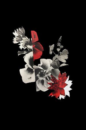 PP印花华亿平台图片