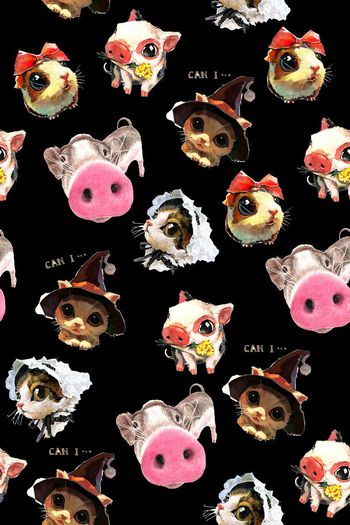 718486-20161014卡通猫头-2