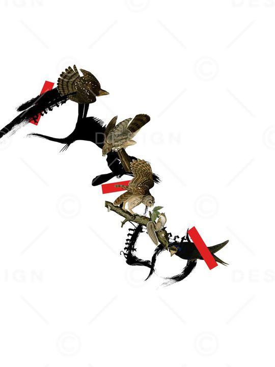 工笔画水墨鸟印花华亿平台图片