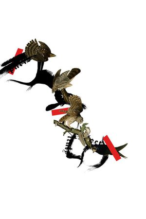 工笔画水墨鸟印花华亿平台图片