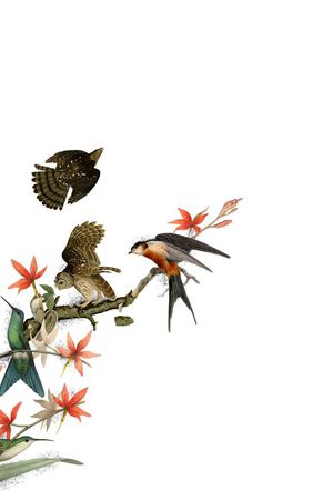 工笔画鸟集印花华亿平台图片