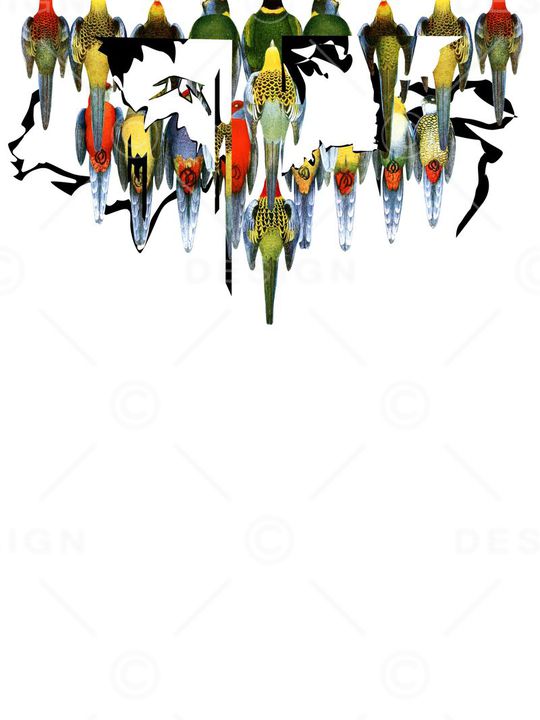 手绘鸟集印花华亿平台图片