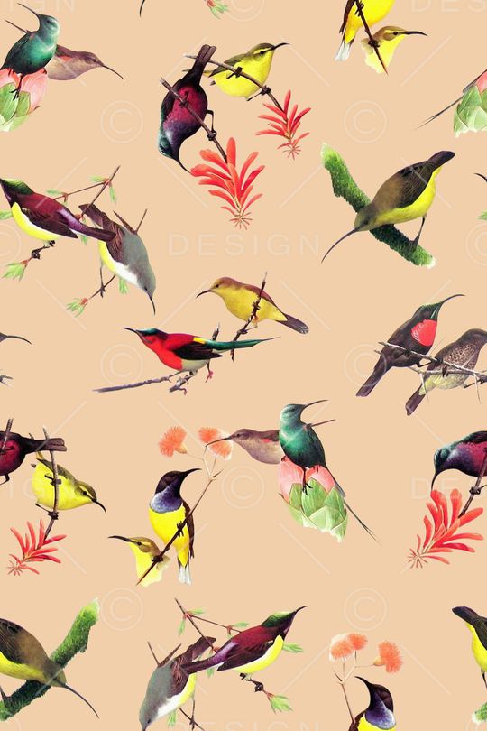 水彩花鸟印花华亿平台图片