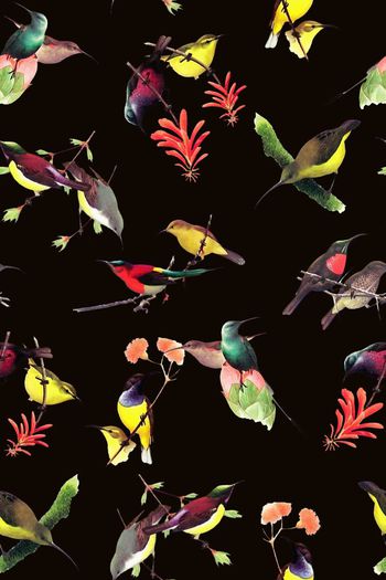 718585-2016-10-6植物花鸟3