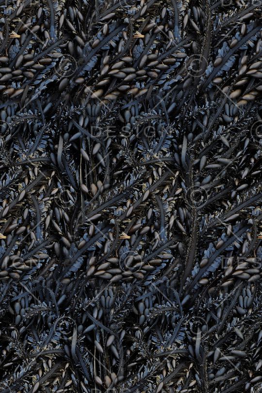 抽象咖啡豆花卉印花印花华亿平台图片