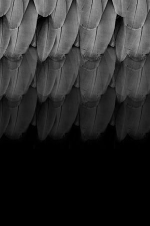 复古男装印花华亿平台图片