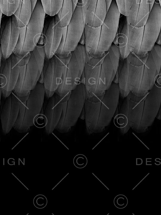 复古男装印花华亿平台图片