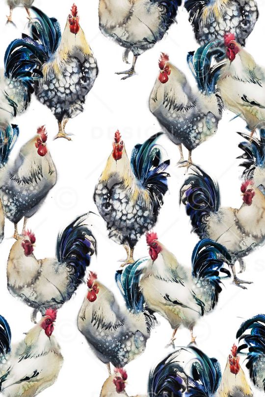 公鸡印花华亿平台图片