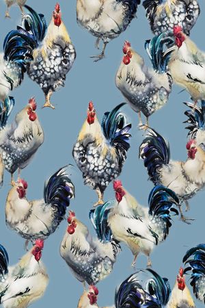 公鸡印花华亿平台图片