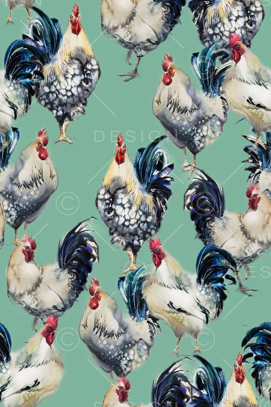 公鸡印花华亿平台图片