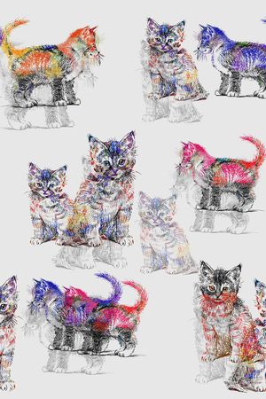 手绘猫印花华亿平台图片