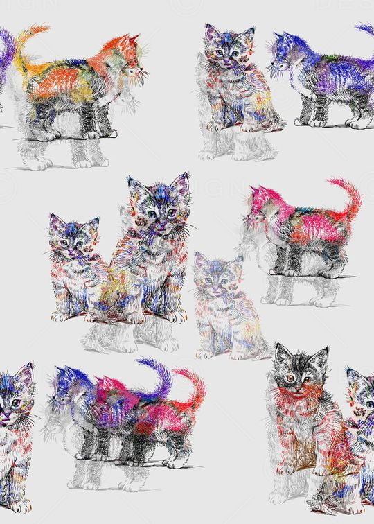 手绘猫印花华亿平台图片