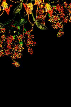 牡丹印花华亿平台图片