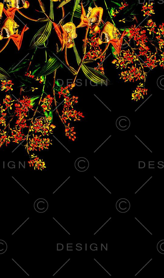 牡丹印花华亿平台图片