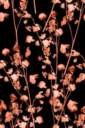 枯叶印花华亿平台图片