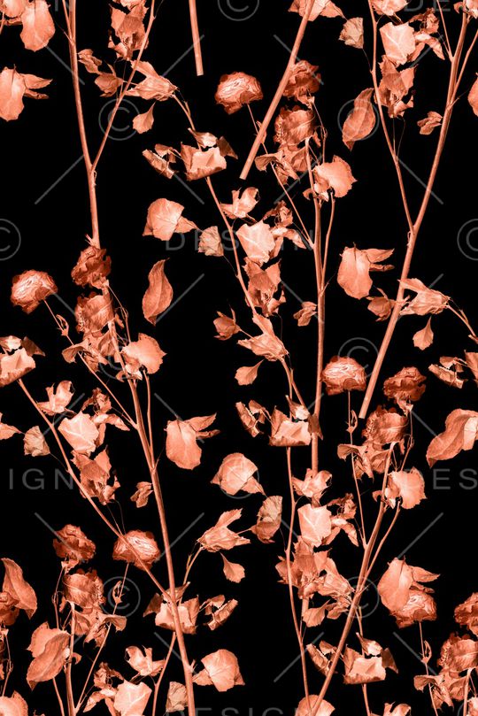 枯叶印花华亿平台图片