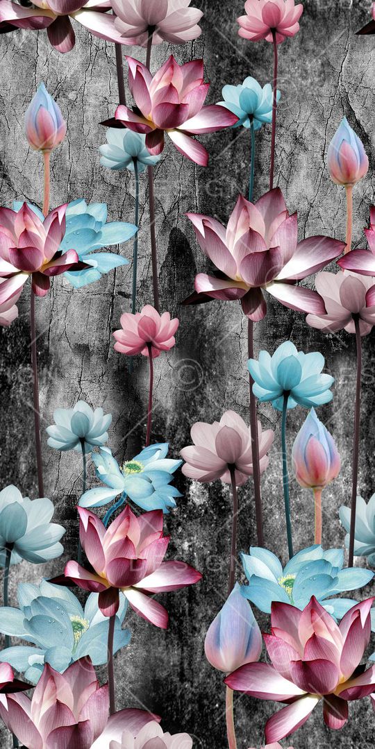 莲花印花华亿平台图片