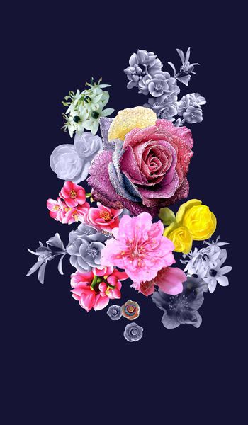 玫瑰印花华亿平台图片