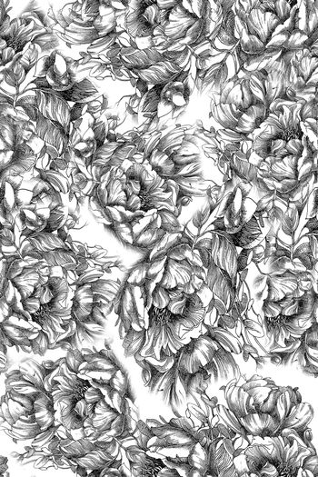 719376-FLZ-7-15.....。