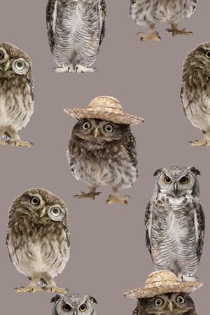 抽象3D动物猫头鹰数码印花印花华亿平台图片