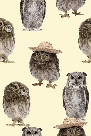 抽象3D动物猫头鹰数码印花印花华亿平台图片