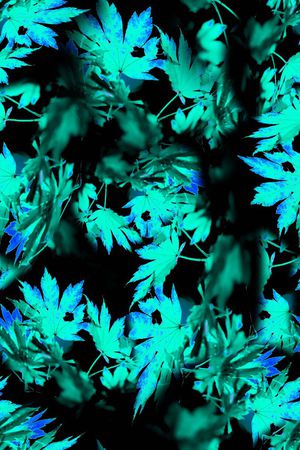 枫叶印花华亿平台图片