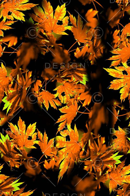 枫叶印花华亿平台图片