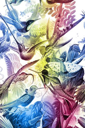 渐变印花华亿平台图片