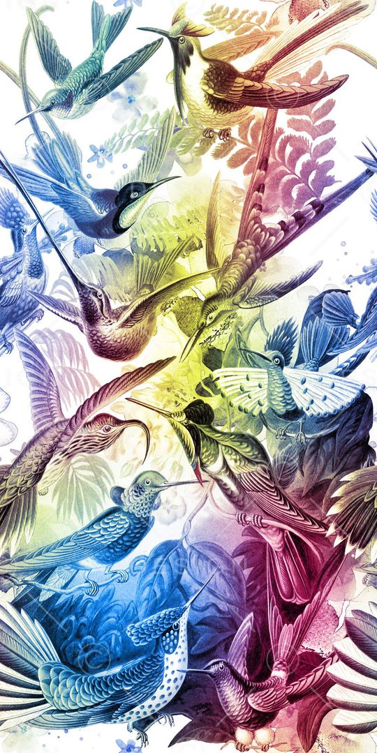 渐变印花华亿平台图片