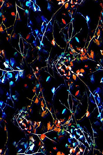 枝叶印花华亿平台图片