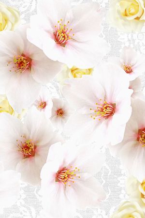 年轻女性印花华亿平台图片