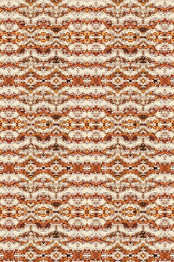 719808-动物纹理 蛇纹--2