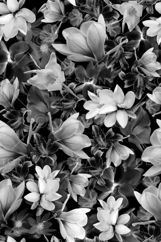 realistic印花华亿平台图片