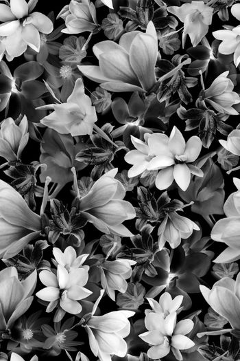 realistic印花华亿平台图片