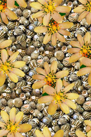 抽象手绘水彩花卉花朵数码印花印花华亿平台图片