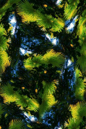 风景印花华亿平台图片