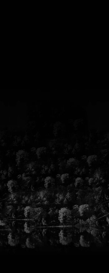 720206-FLZ-10-29.....