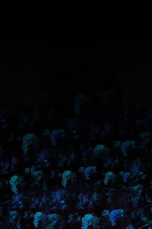 风景印花华亿平台图片